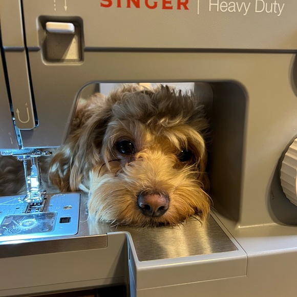 Meet your Poshers, Tracy and Taifa - Picture 6 of 14